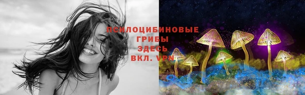 ешки Алексин