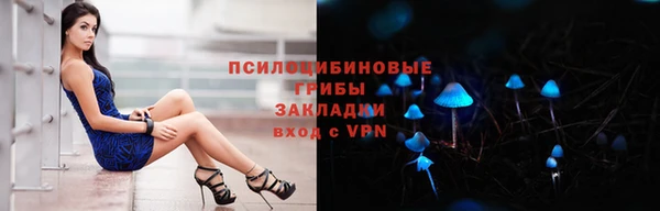 ешки Алексин