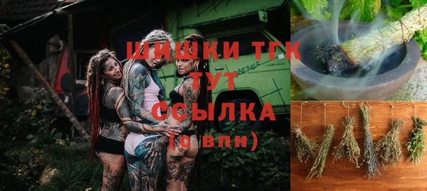 МДПВ Алзамай