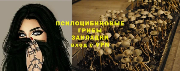 ешки Алексин
