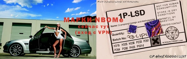 МДПВ Алзамай